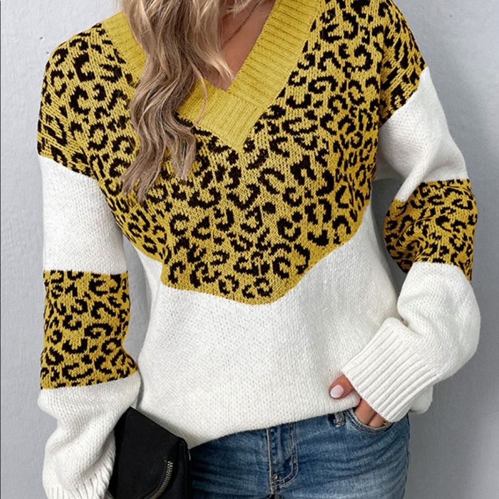 Leopard Color Block V-Neck Ribbed Trim Sweater - Picture 9 of 10